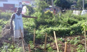 Namu Robby – Building resilience after natural disasters